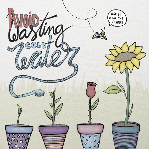 Avoid wasting cold water, use it for plants